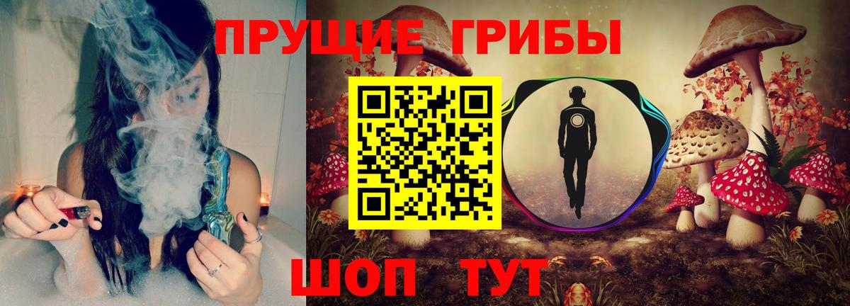 Галлюциногенные грибы Psilocybe  Псилоцибиновые грибы прущие грибы  Знаменск  Вход с VPN 