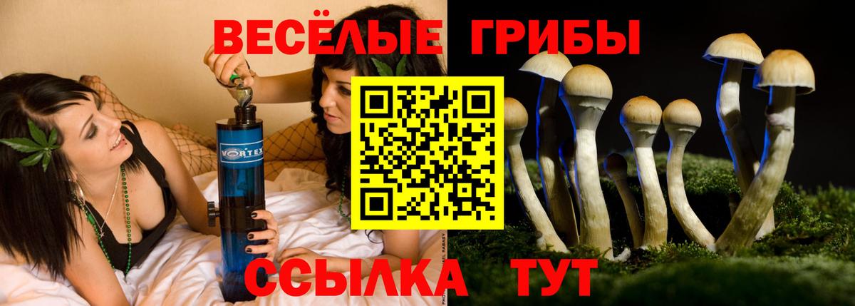 Псилоцибиновые грибы Magic Shrooms Знаменск
